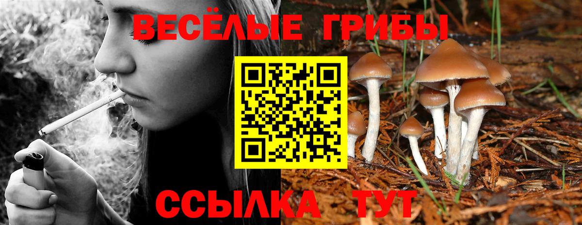 Псилоцибиновые грибы Magic Shrooms  Вход с VPN  Зеленокумск 